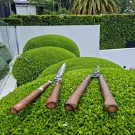 هرس آرایش لاوسون