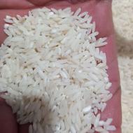 فروش برنج بینام
