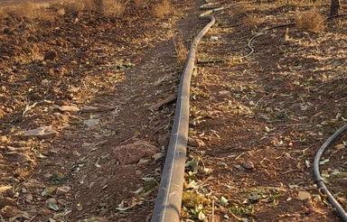 3 هکتار زمین کشاورزی وباغ بادام