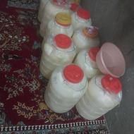 پنیر وکره محلی به فروش میرسد خواهان گمان بگیره