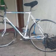 کورسی قیمت عالی فروش فوری معاوضه ای