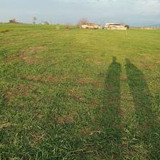 زمین 1600 متر فروشی در حسین آباد