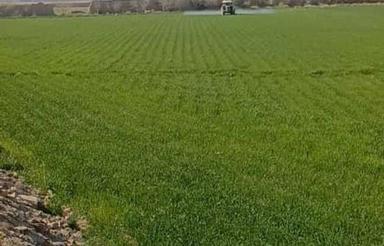 یک هکتار زمین کشاورزی روستایی آفرین