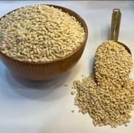 خرید بذر نارنج