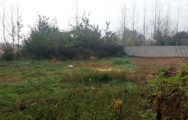 فروش 600 متر زمین باغی و مسکونی