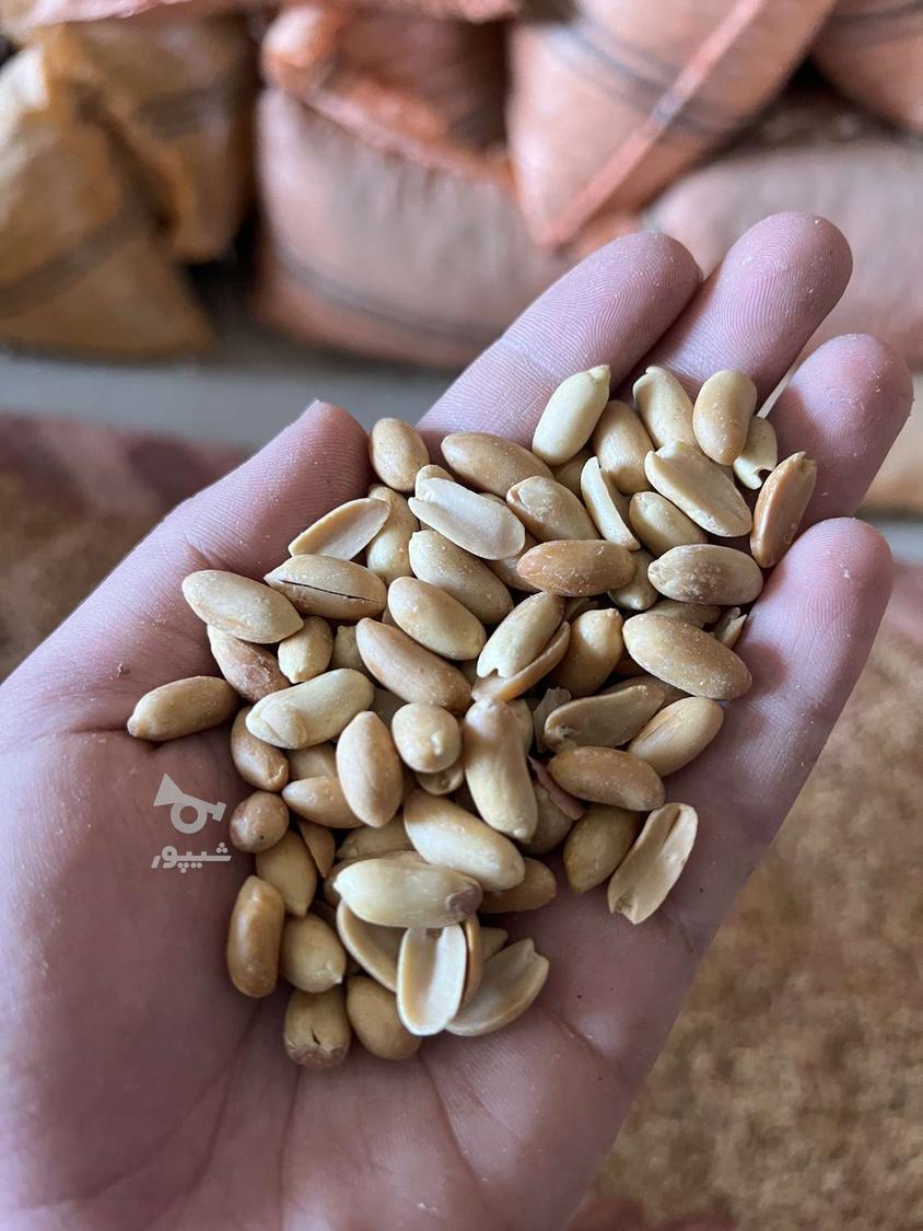 پخش عمده و خرده بادام زمینی