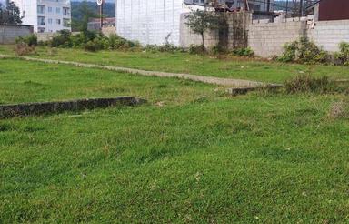 300 متر زمین در بام سبز سند تک برگ