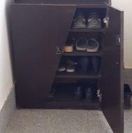 جاکفشی سالم