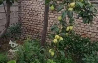 ویلایی صدمتری درشهردلند