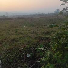 زمین باغی مناسب باغ کیوی بر آسفالت داخل طرح