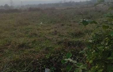 زمین باغی مناسب باغ کیوی بر آسفالت داخل طرح