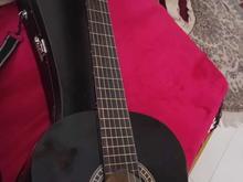 گیتار اسپانیایی کوک در شیپور