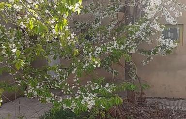 فروش ساختمان ویلایی قدیمی در هیدج