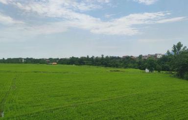 482متر زمین کوهپایه ای ارزنده با لوکیشن فوقالعاده