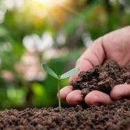 مشاوره و انجام امور باغبانی و بستر فضای سبز