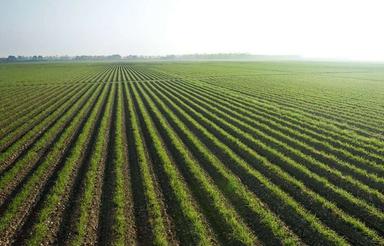 فروش زمین کشاورزی اینده دار