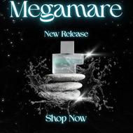 فروش فوری عطرهای اورجینال – ماندگاری واقعی