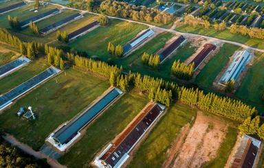 خرید زمین در مازندران جهت سرمایه گذاری با کاربری های متفاوت