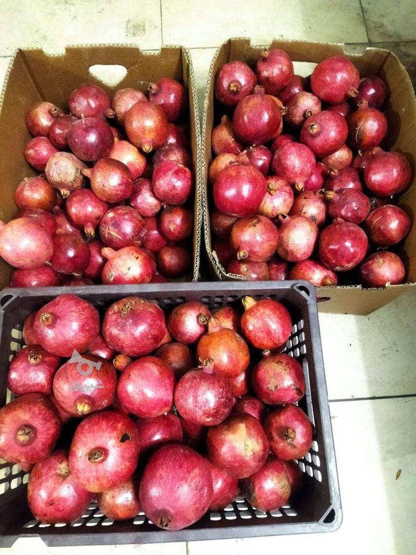 آب انار رب و انار امامزاده علی اکبر