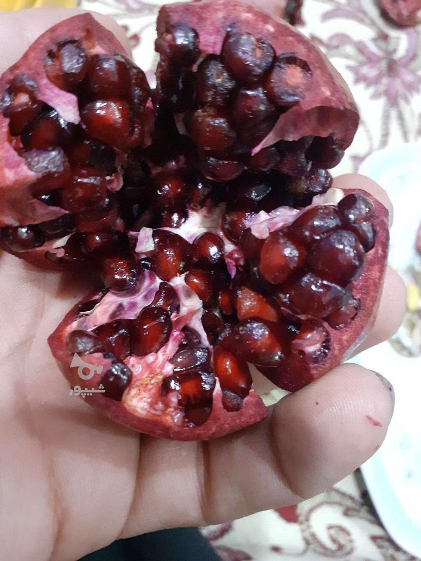 آب انار رب و انار امامزاده علی اکبر