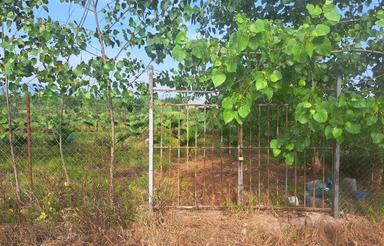 فروش فوری زمین زمین 401 متر