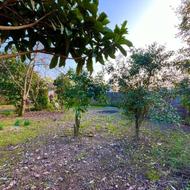 205متر زمین با کاربری تجاری مسکونی