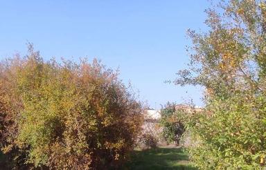 زمین ب مساحت 280 متر در بهترین لوکیشن