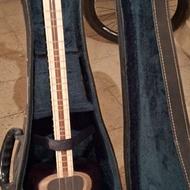 بم تار به همراه کیس