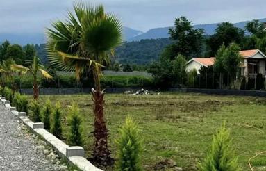 فروش زمین 245 متر در الکله