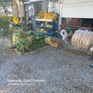 فرشنده خانوم جهت کار در سوپر مارکت