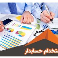 حسابدار حرفه ای