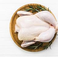 فروش تمامی محصولات منجمد(مرغ و گوشت و ماهی و میگو و سبزی)