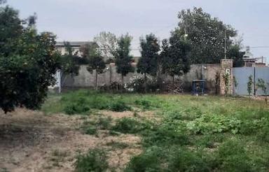 1000 زمین ویلایی