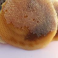 عسل طبیعی صد در صد