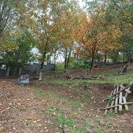 زمین مسکونی