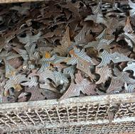 نیزه دزدگیر