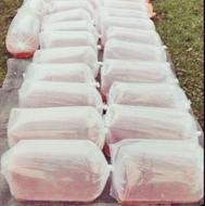 ماهی قرمز اعلا