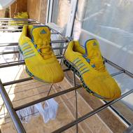 کتانی اورجینال ادیداس