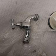 سر شیر ،نو است