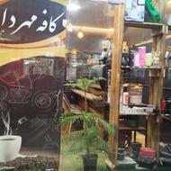 یک فروشنده خانم مجرب