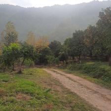 فروش زمین کشاورزی 11000 متر در سیاورز