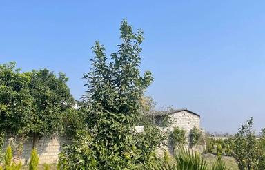 زمین شهرکی با سند تک برگ و اقساط 20 ماهه 