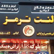 انواع لنت ترمز و دیسک ترمز ایرانی و خارجی