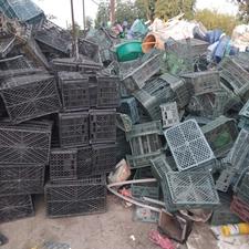 نیروی کار خانوم یا آقا