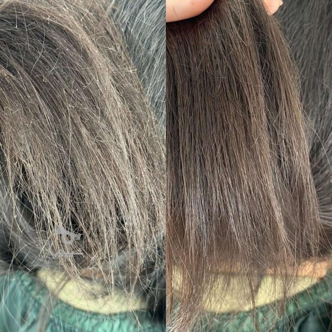 موخوره گیری رنگ و لایت کوتاهی مو لیفت ابرو