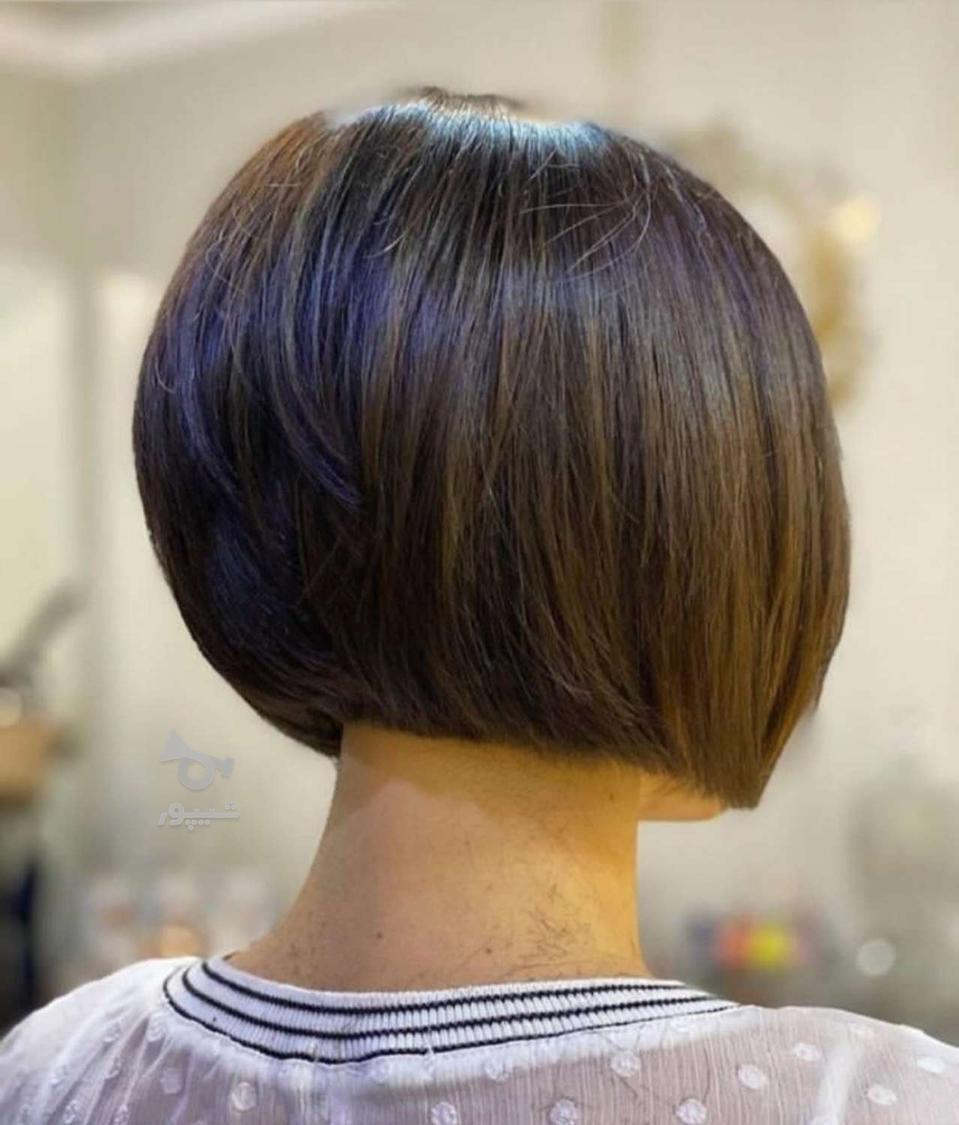 موخوره گیری رنگ و لایت کوتاهی مو لیفت ابرو