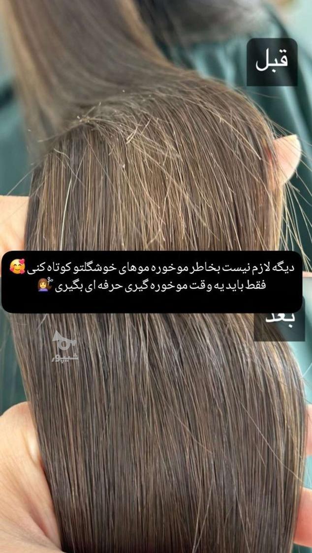 موخوره گیری رنگ و لایت کوتاهی مو لیفت ابرو
