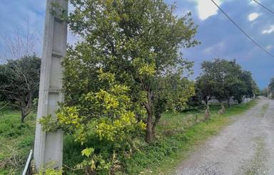 فروش زمین مسکونی 1000 متر در امیرآباد