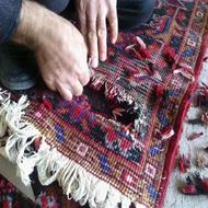 تعمیرات فرش ستارخان مرمت*رنگبرداری*ریشه زنی