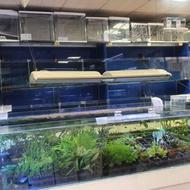 فروشنده فروشگاه آکواریوم